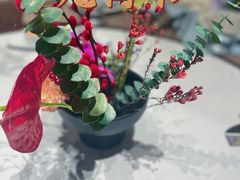 -觅唐MITONG(鸟巢店)