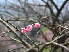 -溪口-滕头旅游景区