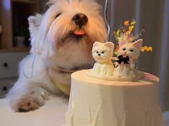 -你好独角兽·蛋糕甜品