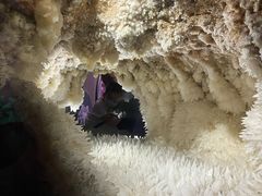 -湖南省地质博物馆