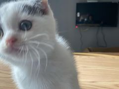 -嘉馨宠物医院·CT影像转诊·心脏科·犬猫全科诊疗中心(下沙大学城院区)