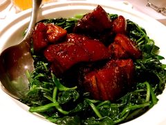 红烧肉-西郊5号·Maggie 5