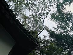 -上海佘山国家森林公园天马山园