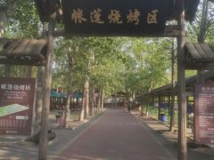 -杨柳青庄园