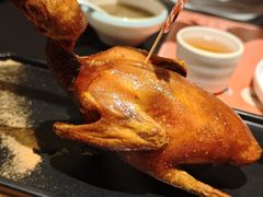 -羽鸽集·乳鸽专门店·地道顺德菜(岭南站店)