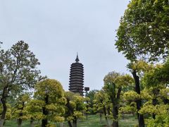 -西海子公园