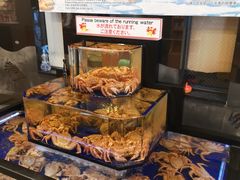 -蟹道乐(道顿堀本店)