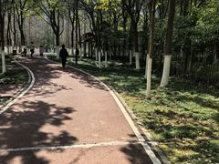 -艾溪湖湿地公园