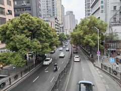 -金牌罗记肠旺面(蔡家街店)