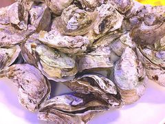 -渔人金景(湛江·渔人码头店)
