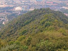 -杭州半山国家森林公园