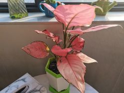 -尚艺造型.剪烫染.接发