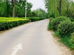 -绿堤公园