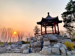 -大兴滨河森林公园