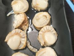 帆立贝-拾下卜卜贝•海鲜火锅
