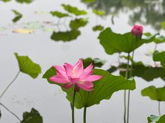 -承德避暑山庄景区