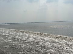 -观潮胜地公园