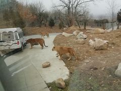 -西安秦岭野生动物园