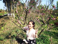 -白鹭湾湿地公园