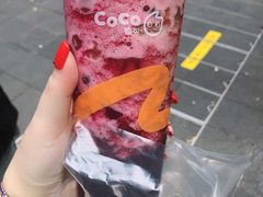 -CoCo都可(惠福店)