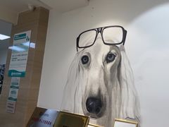 -美联众合动物医院·24h转诊中心