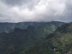 -牛背梁国家森林公园