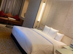 -国际青年会议酒店