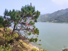 -羚羊峡古栈道森林公园