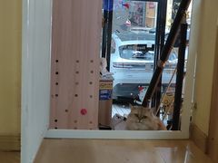 -Meowの猫咖(万家丽店)