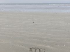 -江山半岛白浪滩景区