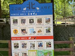 -神户市立六甲山牧场