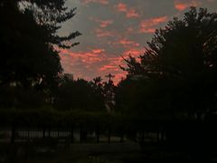 -深圳国际园林花卉博览园