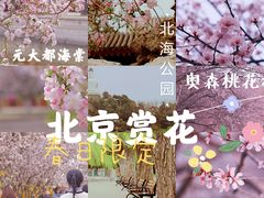 -元大都城垣遗址公园