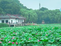 -北山公园