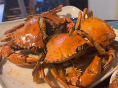 -蚝老板海鲜烧烤大排档(码头店)