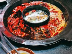 -渝大狮毛肚老火锅(普陀店)