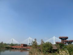 -芒洲湿地公园
