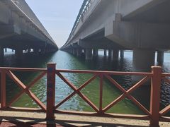 -丁香湖公园