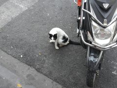 -梅记大块头爆鱼店(乍浦路店)