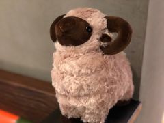 -九府羊·鲜羊火锅·烤串(新华路店)