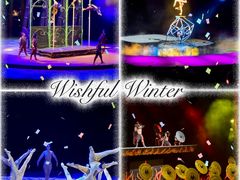 -水秀国际大剧院