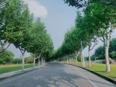 -同济大学(嘉定校区)