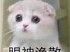 -彤德莱牛肉火锅(双港店)