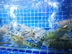 -吉源大排档·鱼生·海鲜(烧烤彩印厂店)