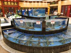 -小榄人家酒楼(民安店)