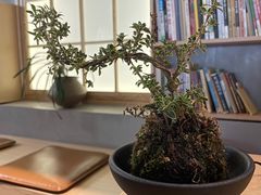 -本处·素食·融合料理(南油店)