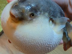 -永安鱼庄·镇江菜(丁卯店)