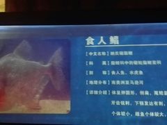 -洛阳龙门海洋馆