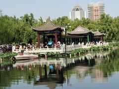 -莲花池公园