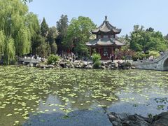 -莲池书院博物馆